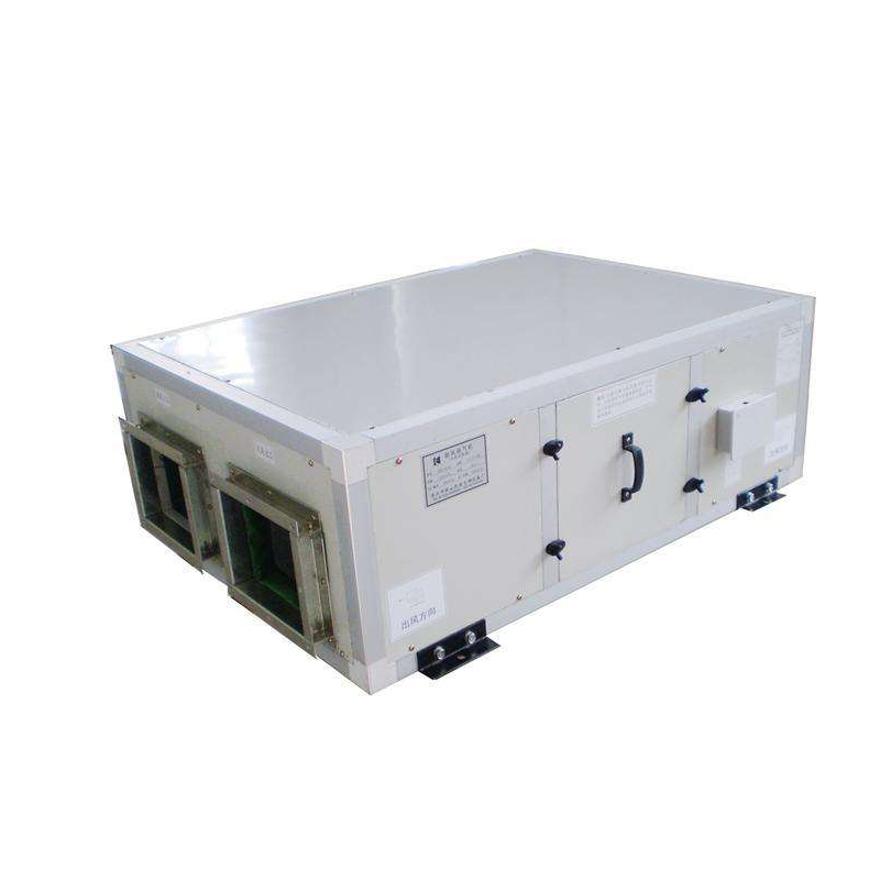 XH-250D吊頂新風(fēng)換氣機(jī)